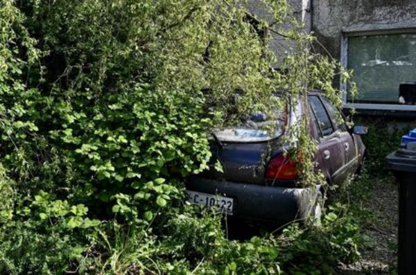 Pest co<em></em>ntrol experts went into the house and found the woman’s remains, before reporting the matter to gardaí. Picture: Chani Anderson