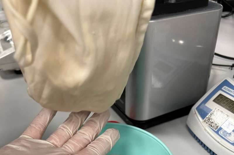 Study demo<em></em>nstrates improved nutrition and taste of plant-ba<em></em>sed milks thanks to pretreatment methods