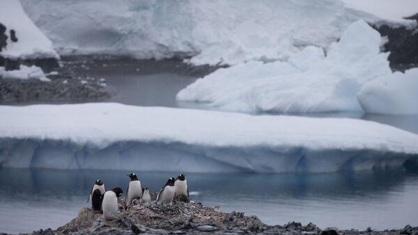 Chilean meeting in Antarctica issues message to Russia over territory