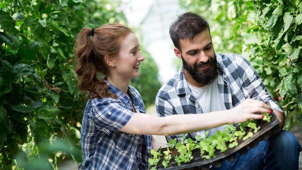 How to save mo<em></em>ney when kitting out your garden this summer