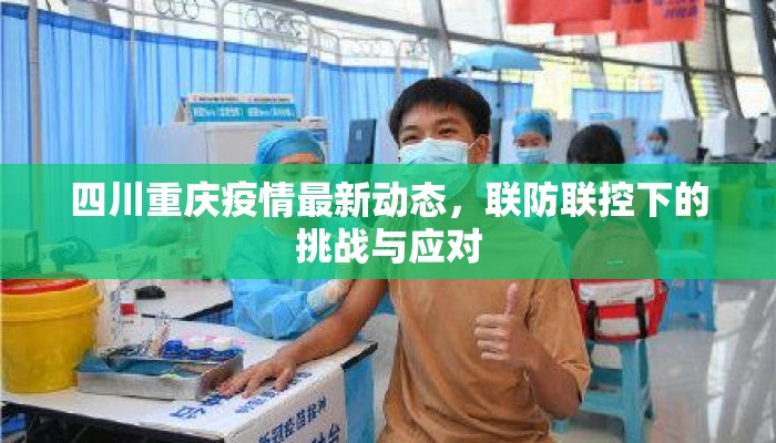 四川重庆疫情最新动态，联防联控下的挑战与应对