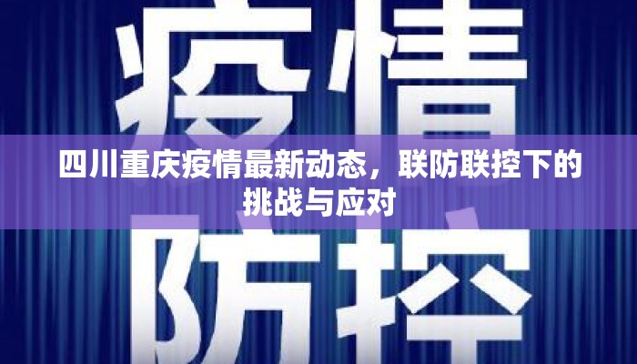 四川重庆疫情最新动态，联防联控下的挑战与应对