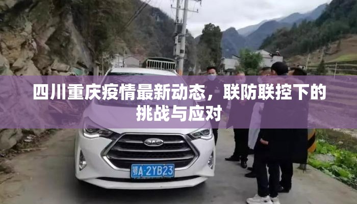 四川重庆疫情最新动态，联防联控下的挑战与应对