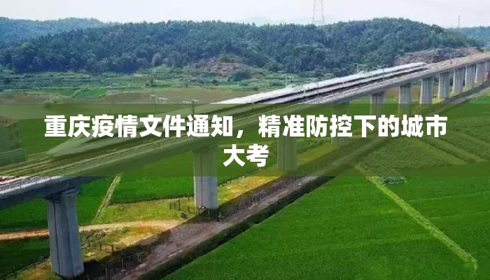 重庆疫情文件通知，精准防控下的城市大考