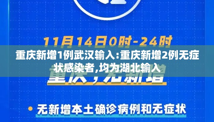 重庆新增1例武汉输入:重庆新增2例无症状感染者,均为湖北输入