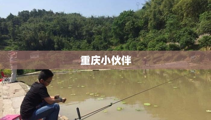 重庆卫视今晚直播/重庆卫视今晚直播节目表