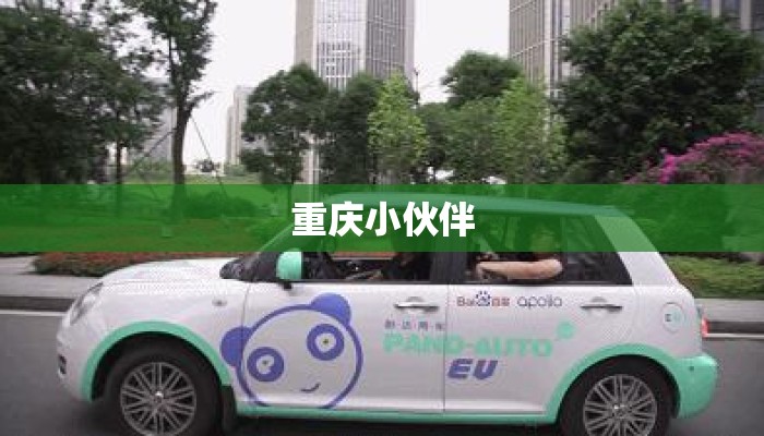 重庆小伙伴