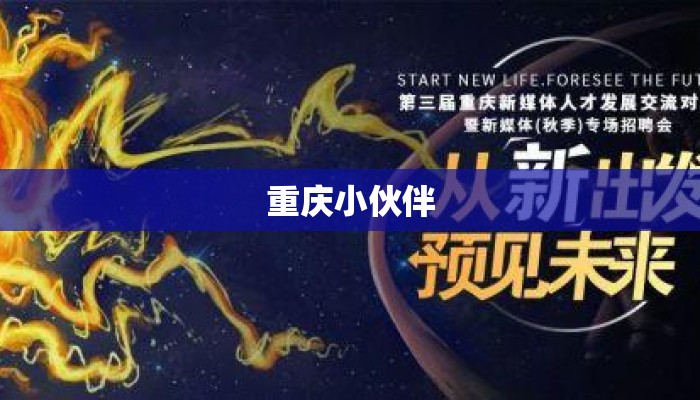 重庆小伙伴