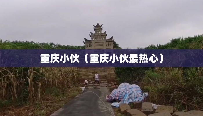 重庆小伙（重庆小伙最热心）