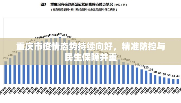 重庆市疫情态势持续向好，精准防控与民生保障并重