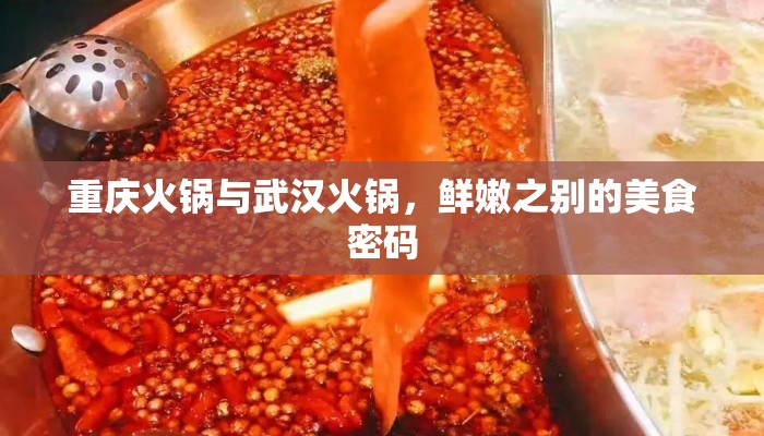 重庆火锅与武汉火锅，鲜嫩之别的美食密码