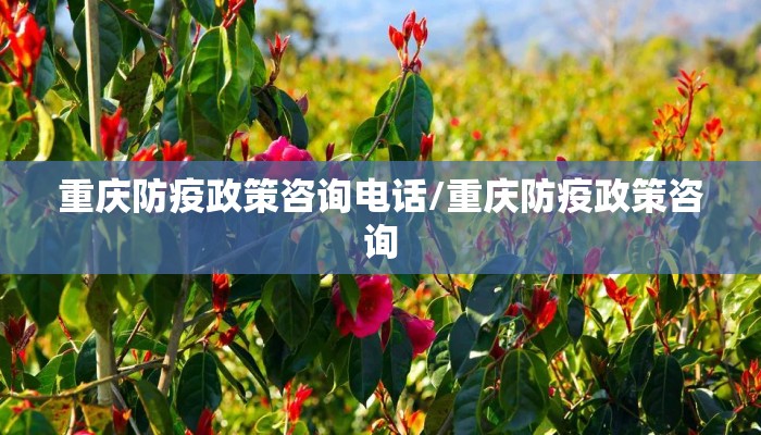 重庆防疫政策咨询电话/重庆防疫政策咨询